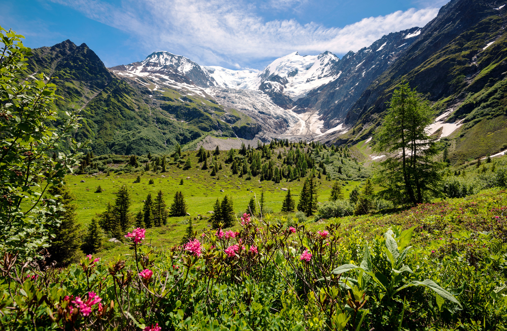 Amazing panorama of French Apls, part of famous trekk - Tour du Mont Blanc