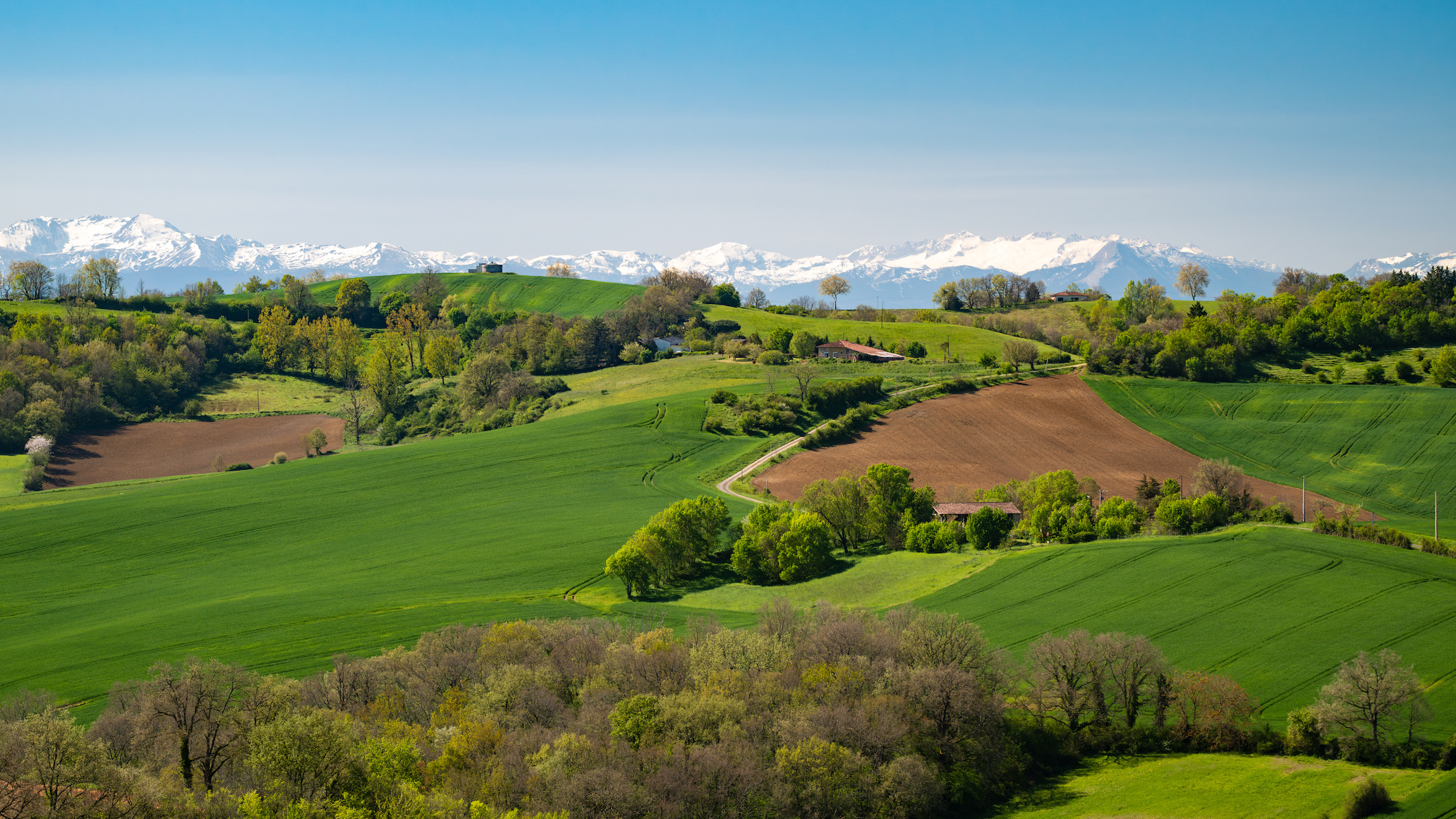 Countryside landscape in the Gers department in France with the Pyrenees mountains in the background