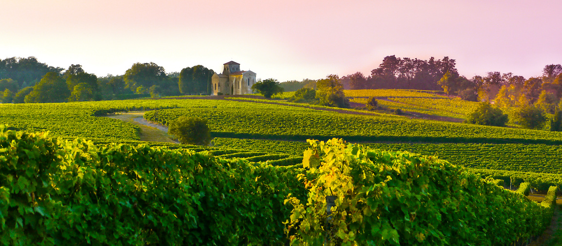 Landscape ,Poitou-Charentes, France