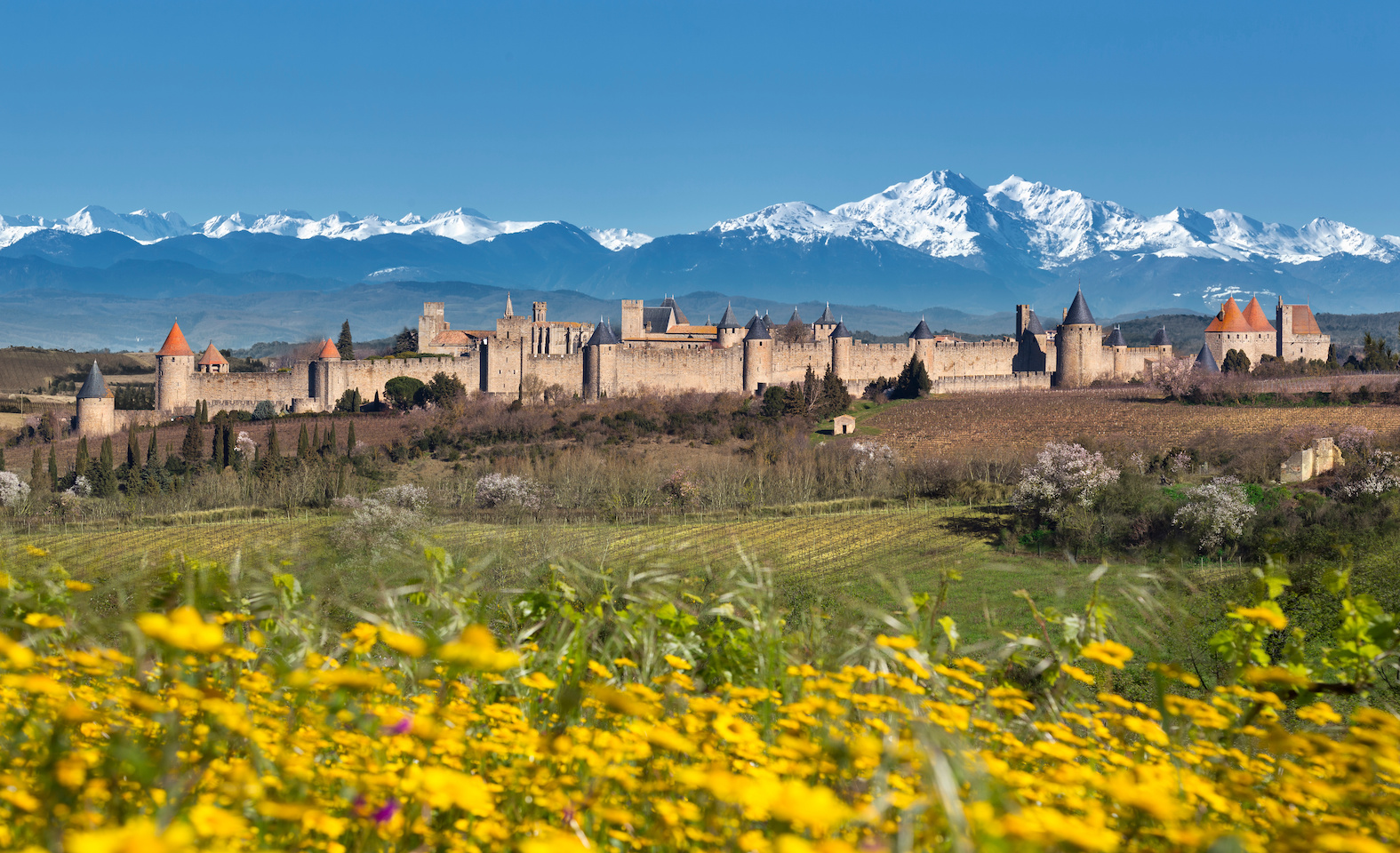 Ville de Carcassonne