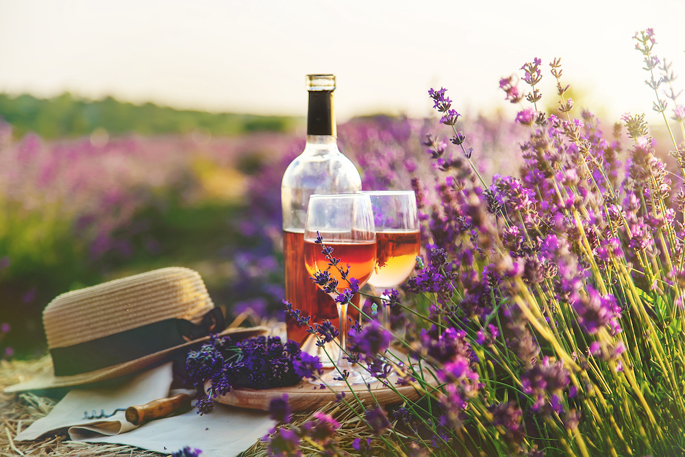 Wine in glasses. Picnic in the lavender field. Selective focus.