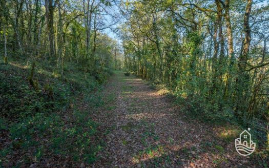 **Fully Restored Stone House With Outbuildings And Set On 1.4 Hectares Of Stunning Woodland