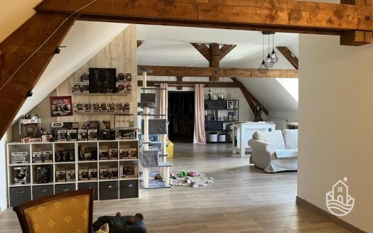 Large Townhouse With Garage And Courtyard In Terrasson-Lavilledieu