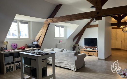 Large Townhouse With Garage And Courtyard In Terrasson-Lavilledieu