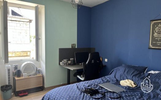 Large Townhouse With Garage And Courtyard In Terrasson-Lavilledieu