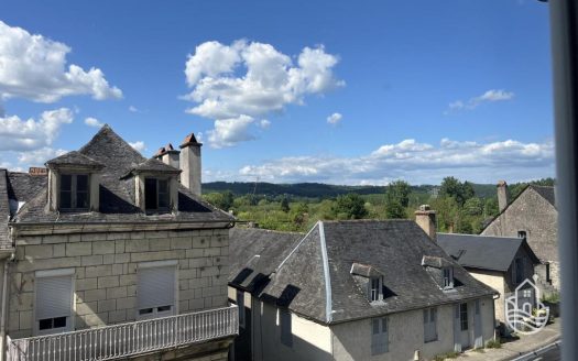 Large Townhouse With Garage And Courtyard In Terrasson-Lavilledieu