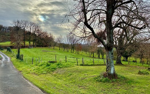 3 Bed Stone Country House With Garden And Unobstructed Views