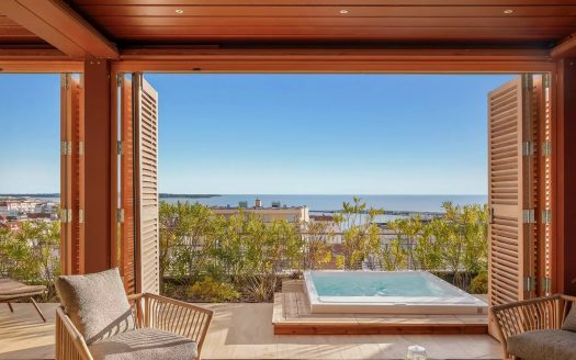 Prestigious Rooftop Penthouse Just Steps From The Old Port, La Croisette And The Beaches