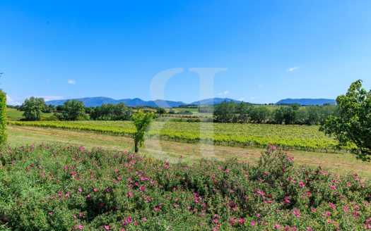 **Exceptional Mas With Gites, Swimming Pool And Stunning Views