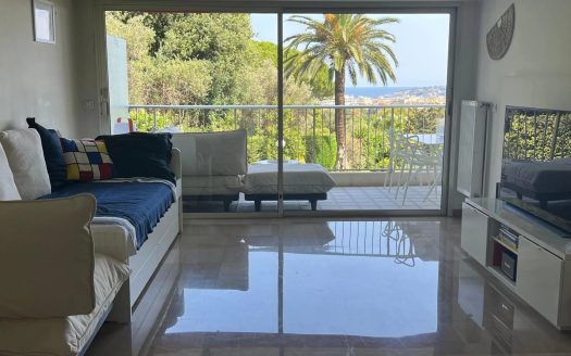 1 bed Apartment with Sea View and Terrace – Residence Le Chambord