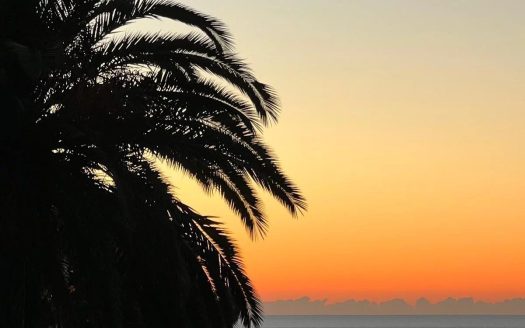 1 bed Apartment with Sea View and Terrace – Residence Le Chambord