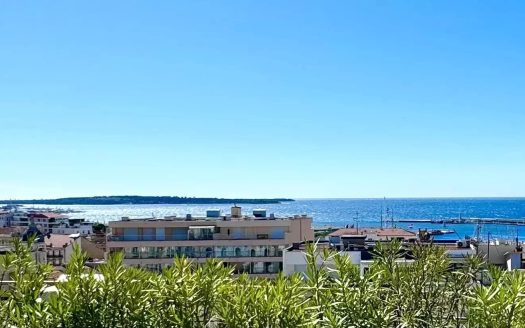 Prestigious Rooftop Penthouse Just Steps From The Old Port, La Croisette And The Beaches